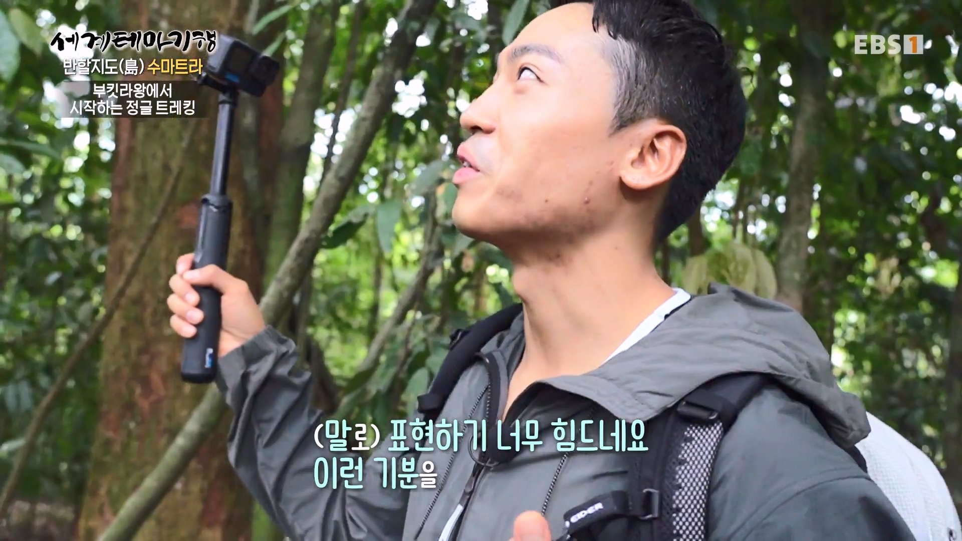 세계테마기행.230731.반할지도(島) 수마트라-1.북수마트라 제대로 즐기기.mp4_20230820_122427.712.jpg