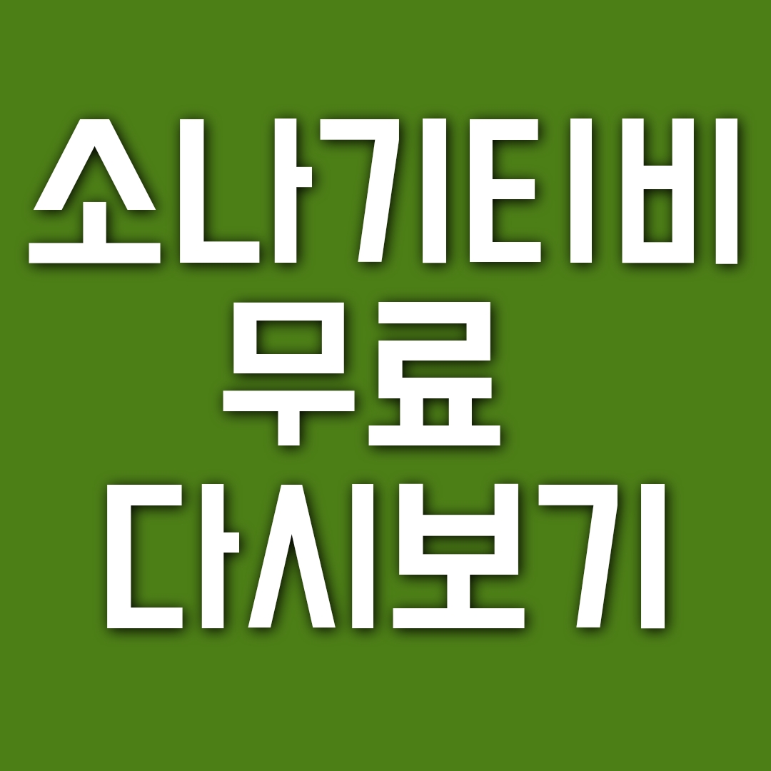  소나기 티비 최신 다시보기 사이트