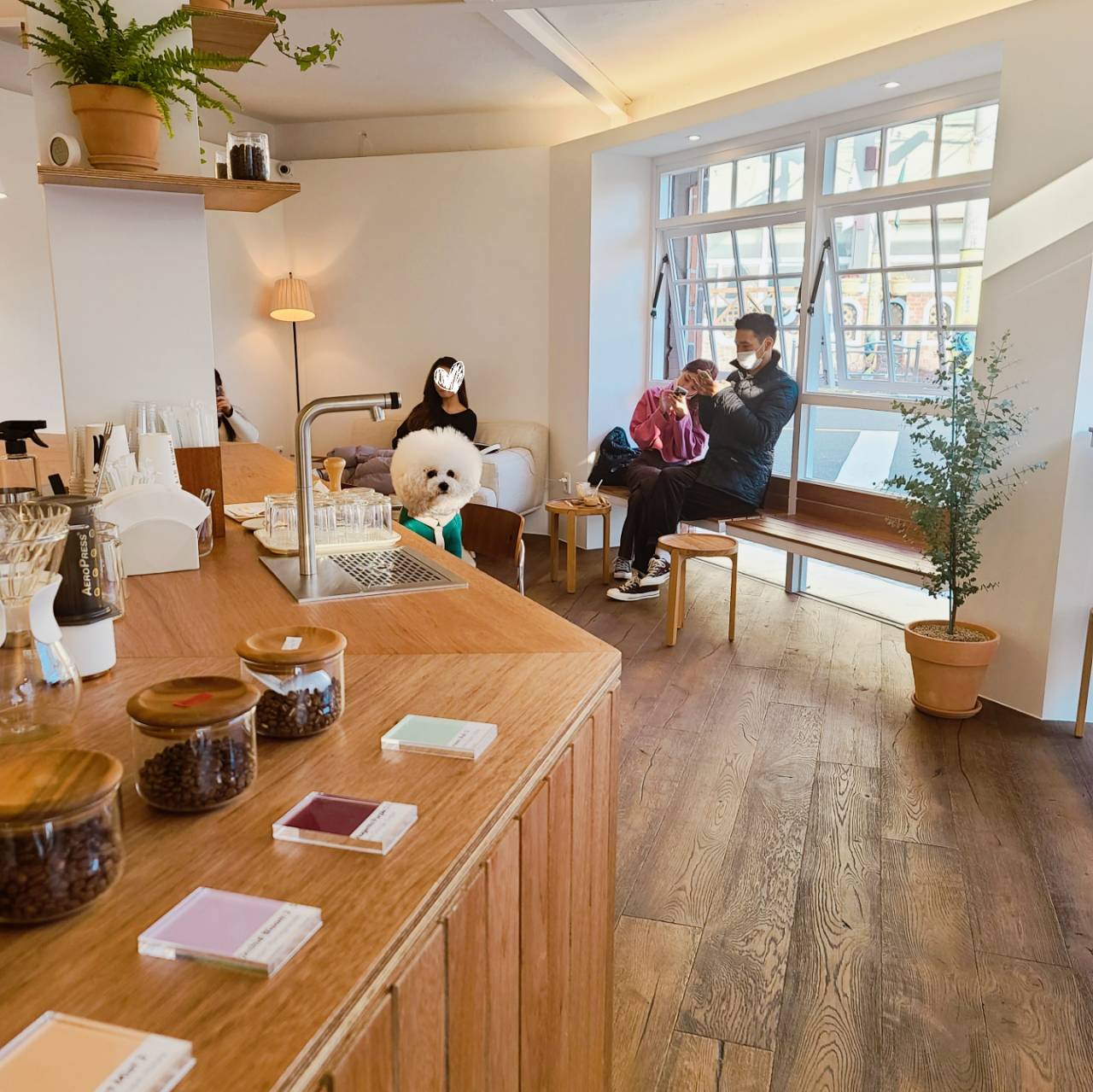  부산 서면 전포 신상 카페 애견동반 카페_라이다운 커피 로스터스 LIE DOWN ROASTERS