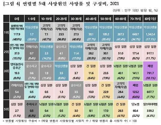 한국인 사망원인 통계 연령별 Top5 (2021년) (소스: 아주경제)