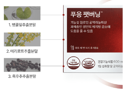 푸응 팻버닝 효과 및 부작용&amp;#44; 후기 (체지방 감량 다이어트 영양제 추천)