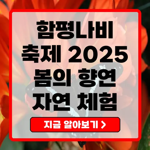 함평나비축제