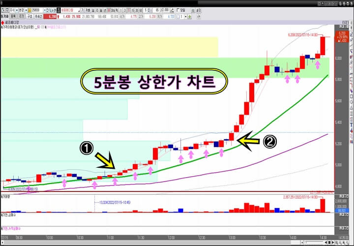 세종메디칼-5분-봉-차트