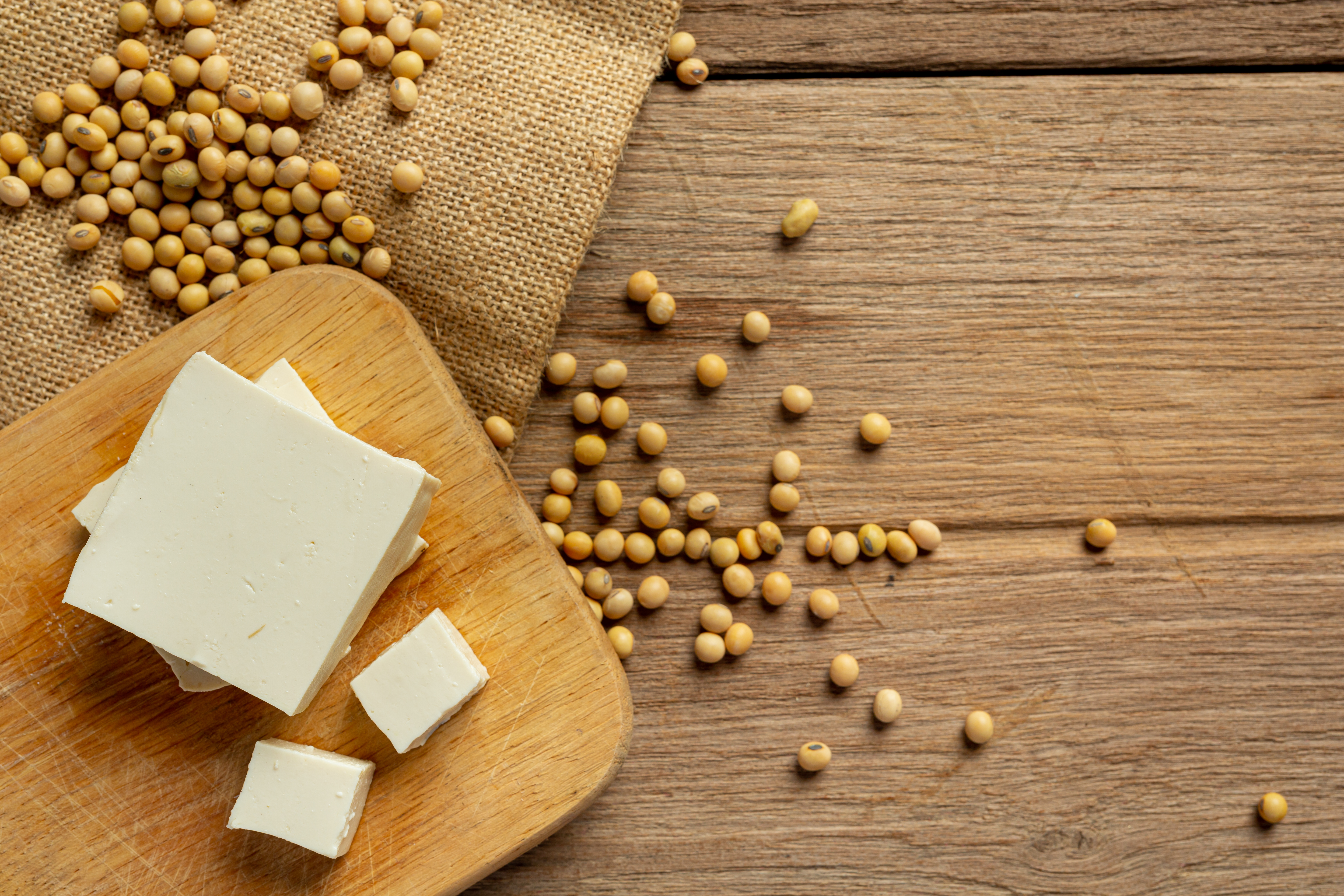 나무 도마 위의 두부와 그 주변에 두부 콩을 흩어 놓은 사진 (tofu-made-from-soybeans-food-nutrition-concept)