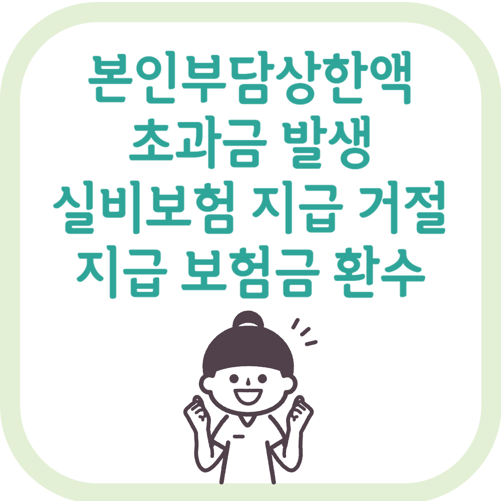 본인부담상한액-초과금-실비보험