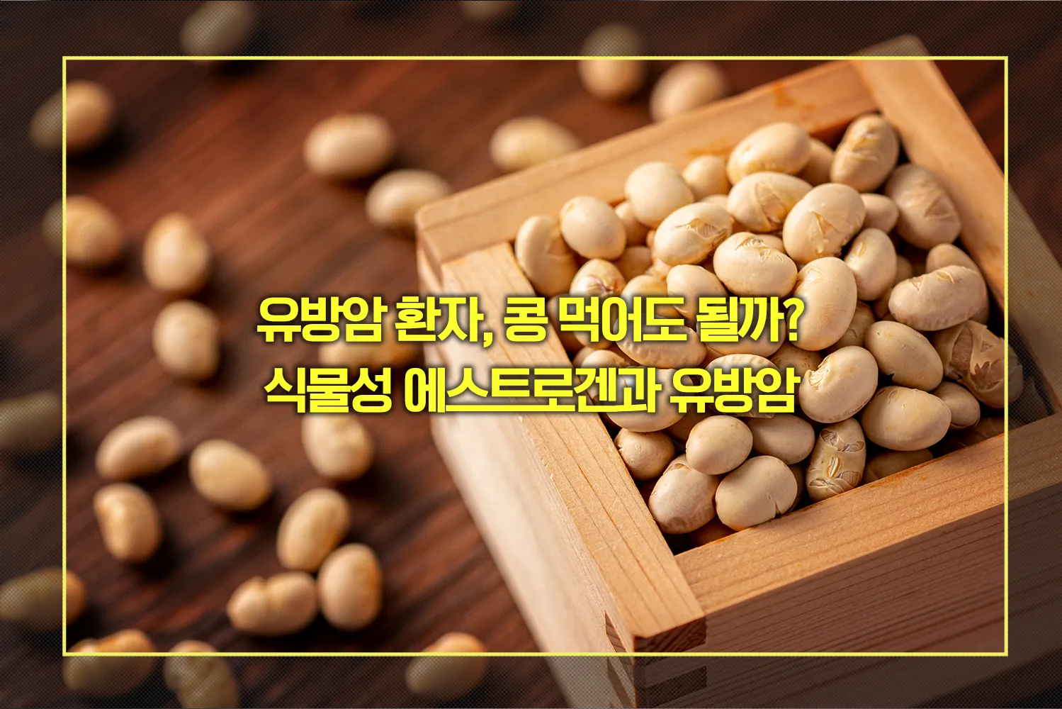 유방암 환자, 콩 섭취여부