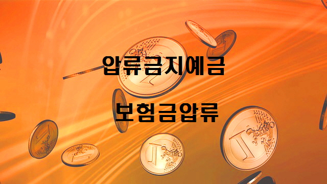  노다지네 잡학다식