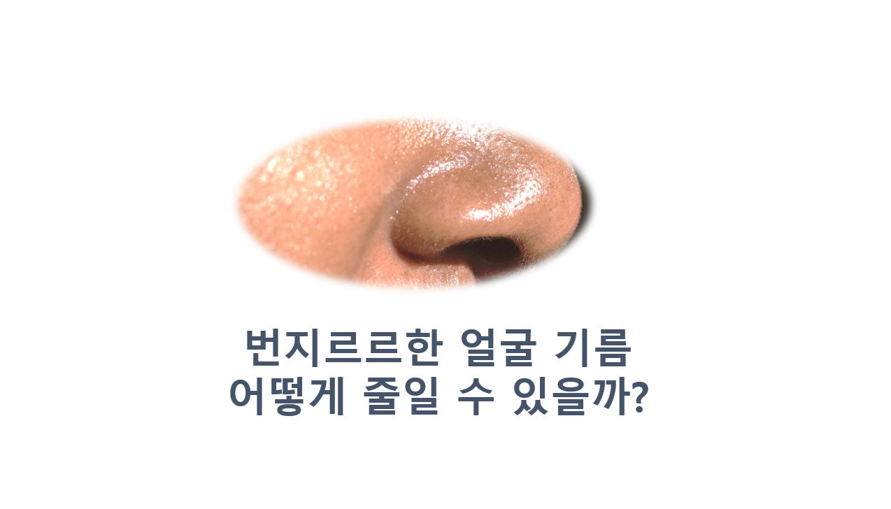 반질반질한 코 사진