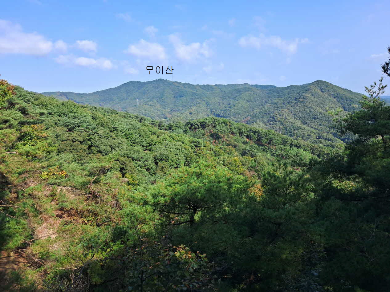 고라니봉 이미지