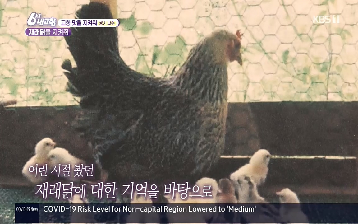 6시 내고향.E7618.220916p.H264-F1RST.mp4_20220920_202554.031.jpg