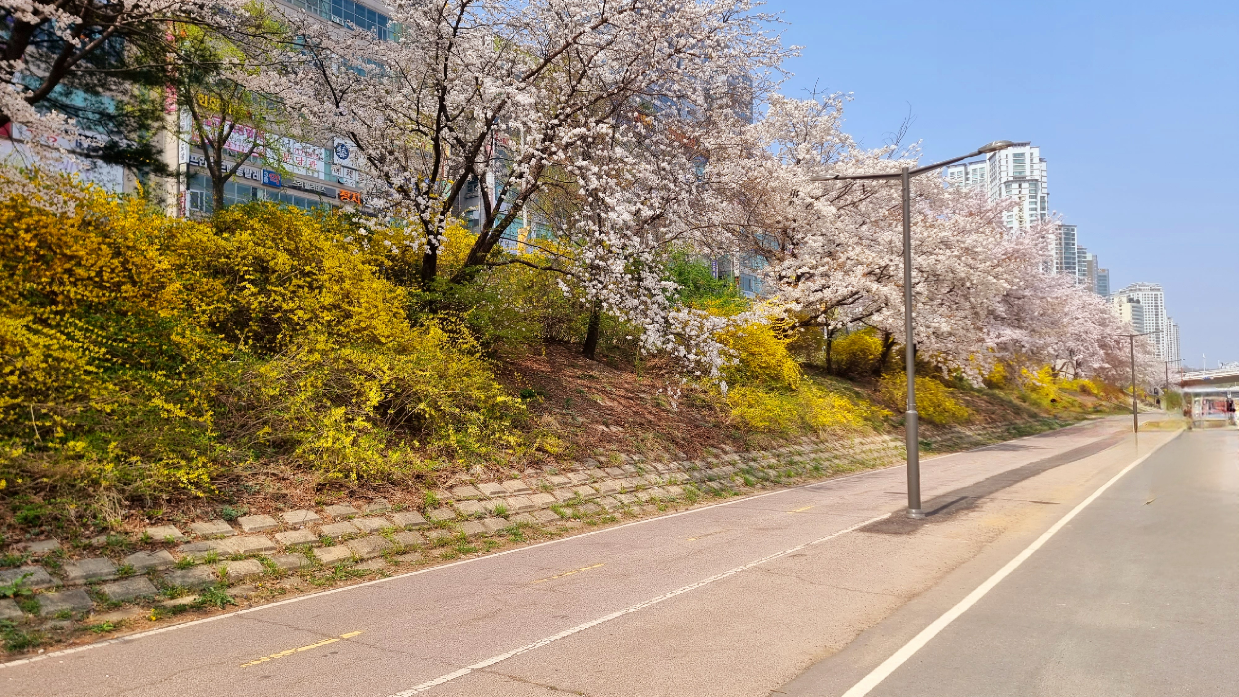 탄천산책로