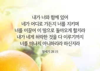 창세기 28장 벧엘 하느님 묵상_24