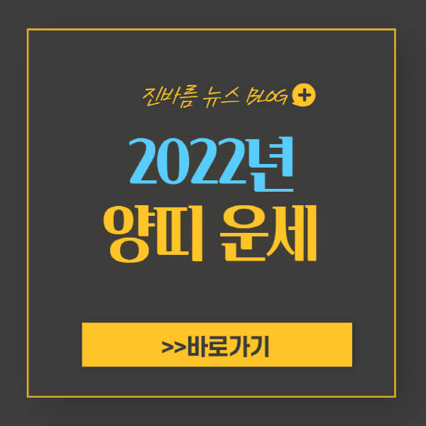2022년-양띠-운세
