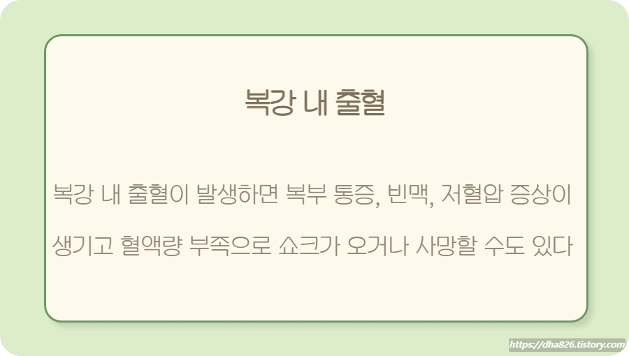 복강 내 출혈 증상 설명