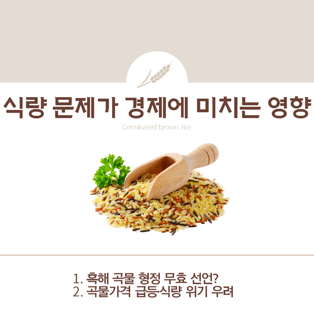  [이슈] 식량위기가 경제에 미치는 영향, 흑해 곡물 협상 무효?