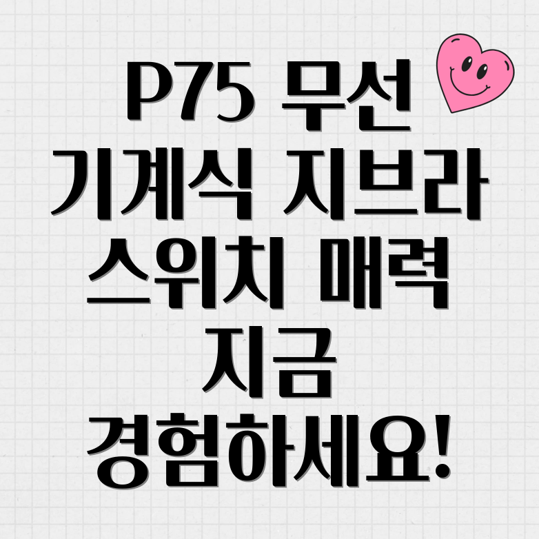 에포메이커 P75