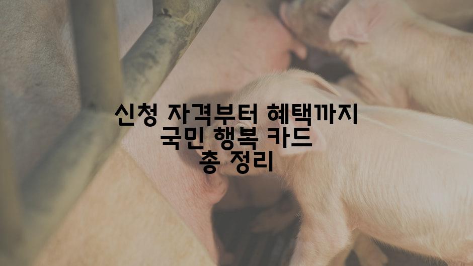신청 자격부터 혜택까지 국민 행복 카드 총 정리
