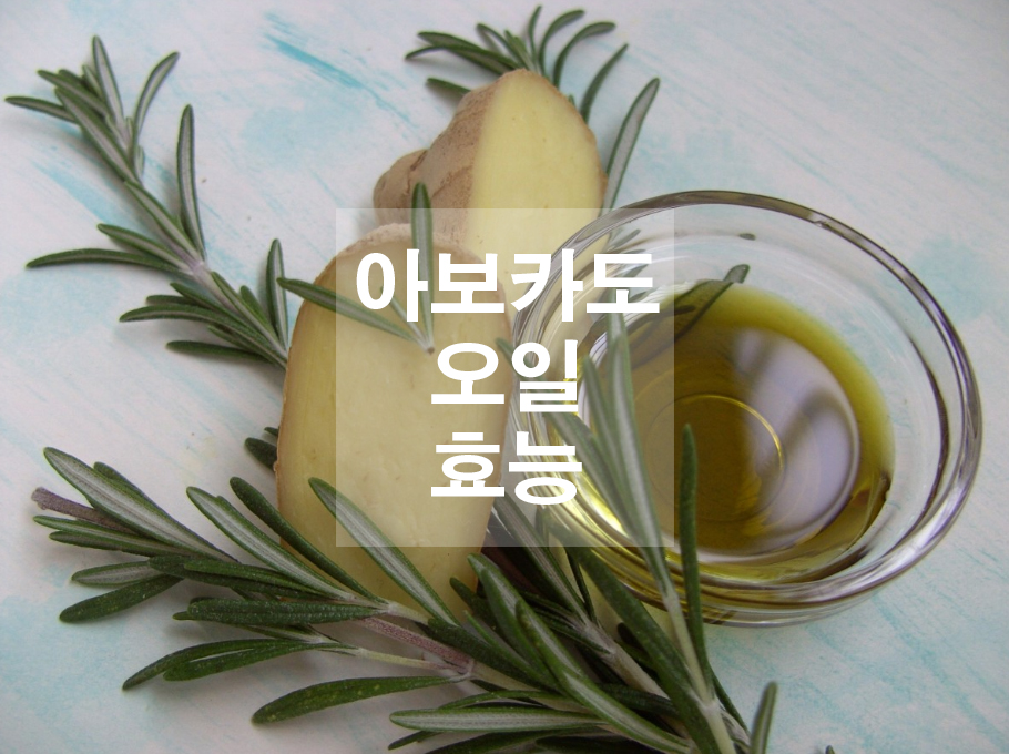 아보카도 오일 효능
