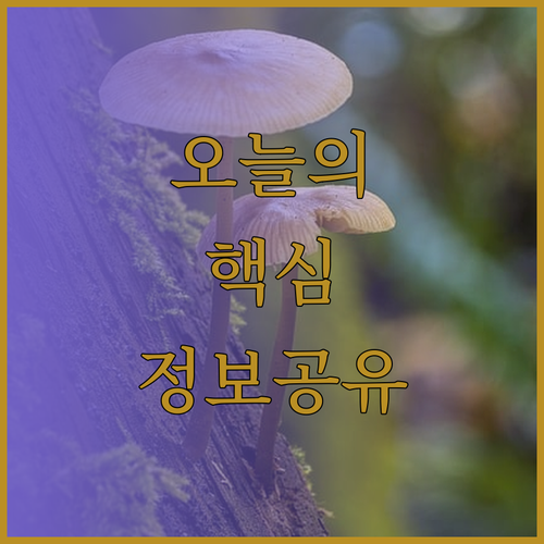 부다페스트 호텔 추천! 어떤 곳이 당
