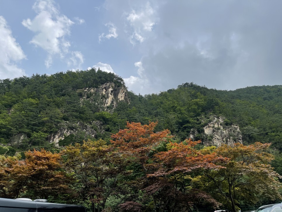  무릉도원이 생각나던 동해 무릉계곡