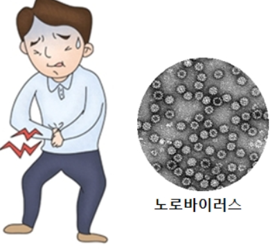  노로바이러스 원인과 증상, 치료방법