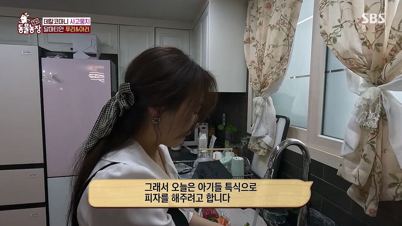 TV 동물농장.E1175.240610p-NEXT.mp4_20240609_160225.966.jpg