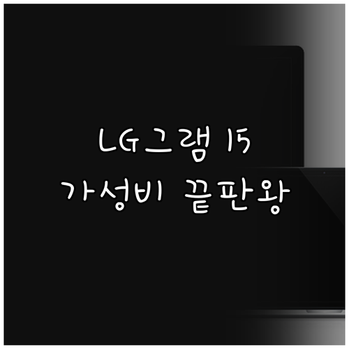 가성비 끝판왕 LG 그램 15 리뷰 