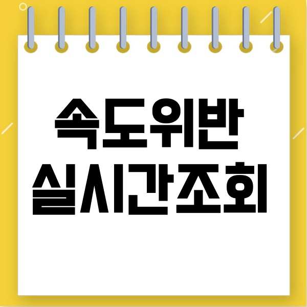  속도위반실시간조회