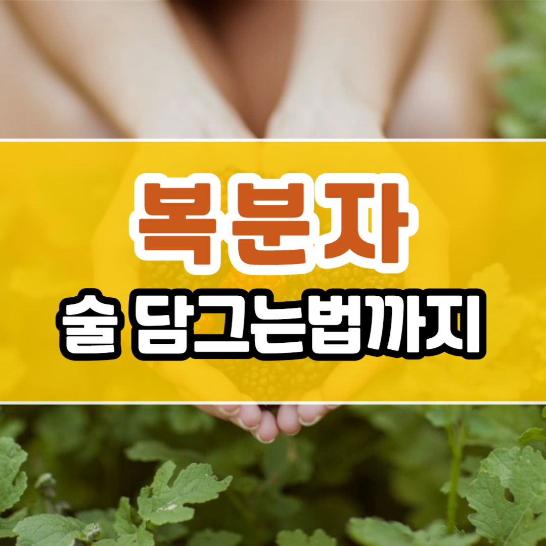 복분자