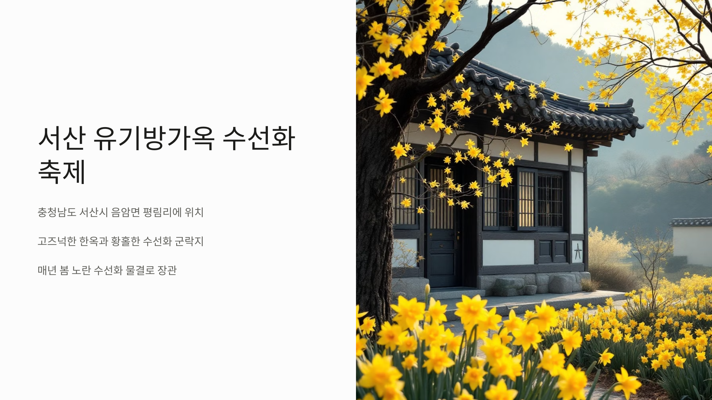 서산 유기방가옥 수선화