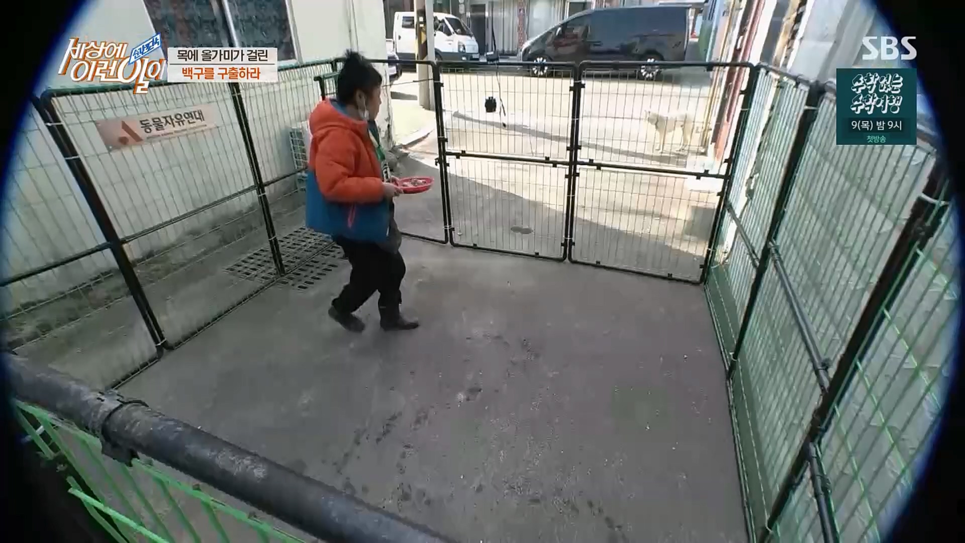 순간포착 세상에 이런일이.E1219.230228p.H264-F1RST.mp4_20230301_165036.977.jpg