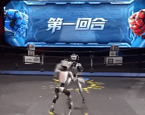격투대회 장면