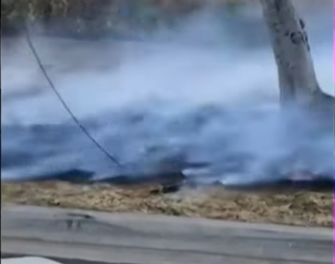 하와이 마우이 산불 - 나무로된 전봇대가 부러져 전선이 끊어져서 아래의 마른 풀을 태우고 있다.