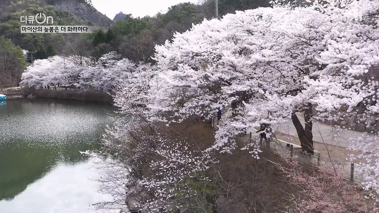 다큐 온.E215.230917p-NEXT.mp4_20230922_213548.141.jpg