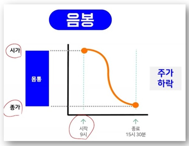 주식시세표몰라도 바이오제약주 3