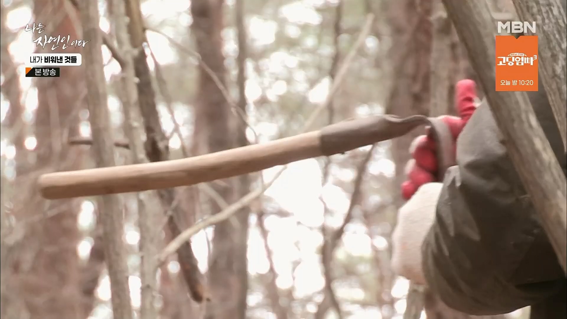 나는 자연인이다.E543.230301p.H264-F1RST.mp4_20230302_192647.133.jpg