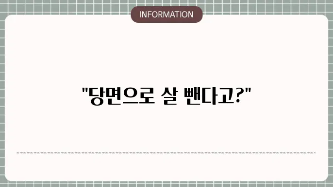 다이어트 당면