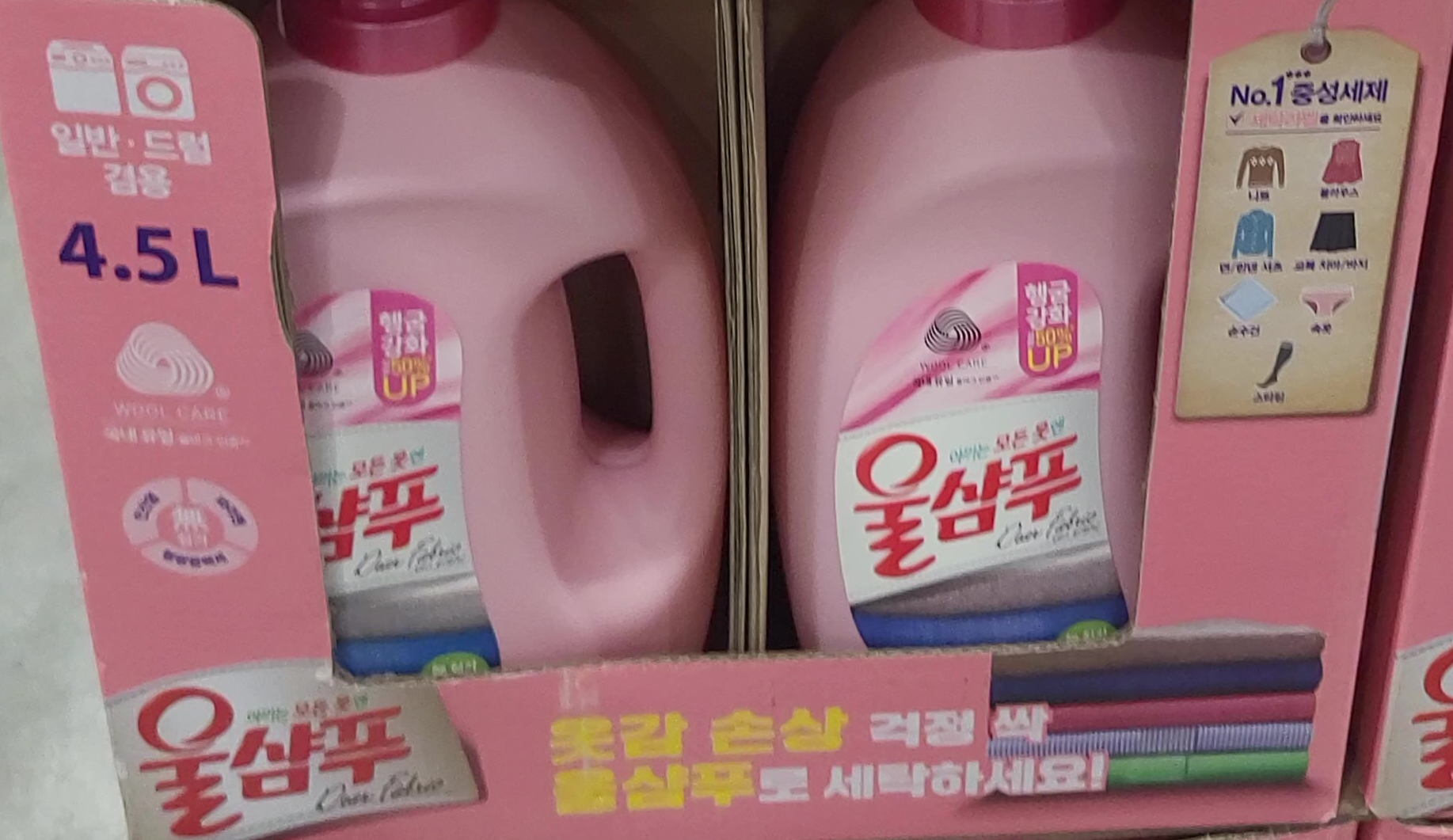 울샴푸2