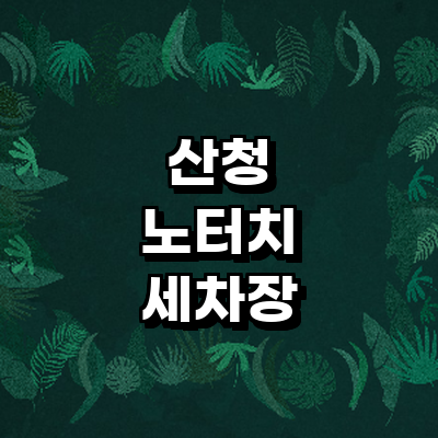 산청군 노터치 세차