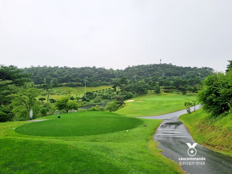 연예인 골프 순위 연예인들이 참여하는 28