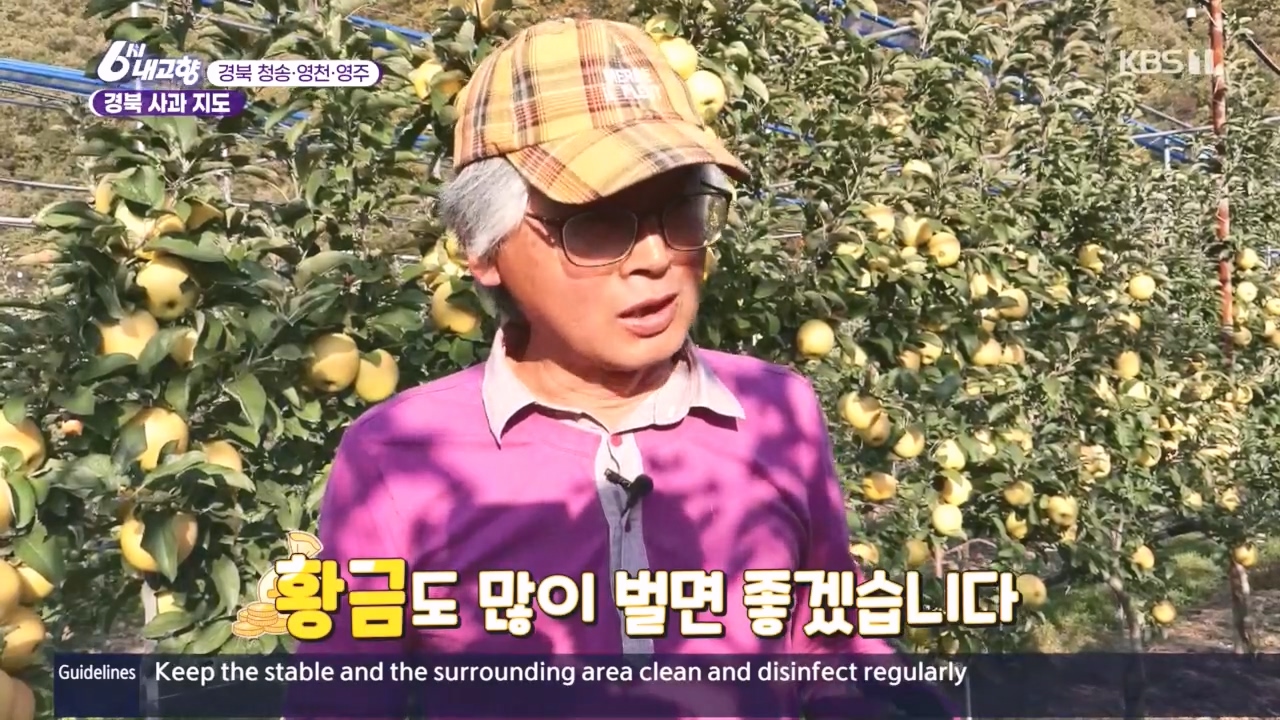 6시 내고향.E7907.231108p.H264-F1RST.mp4_20231108_204125.235.jpg