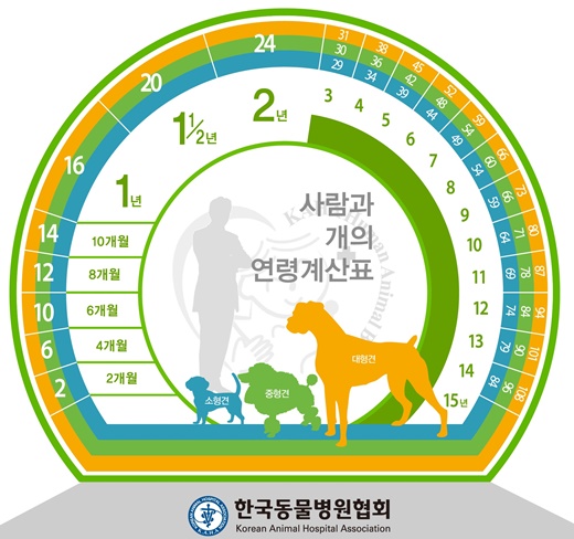  강아지 나이 계산기 강아지 나이 추정하는 법