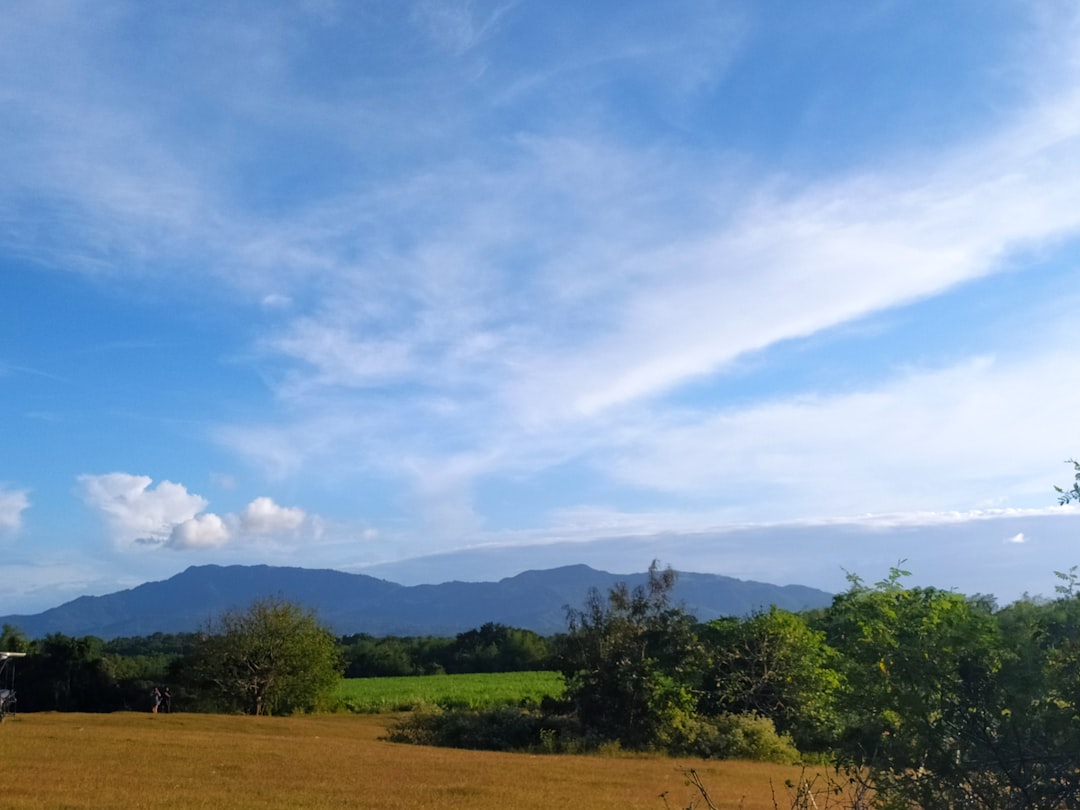 Land