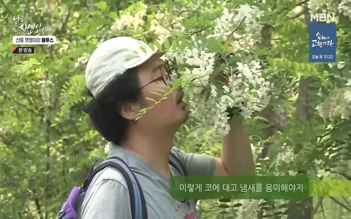 나는 자연인이다.E505.220609p-NEXT.mp4_20220609_200155.087.jpg
