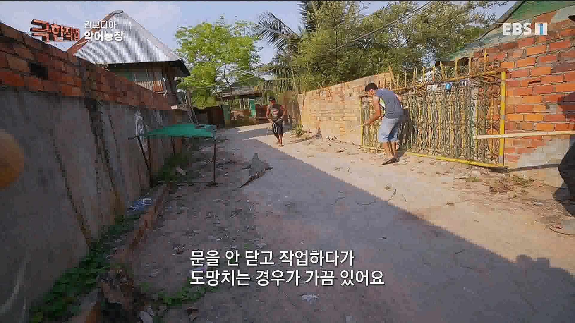 캄보디아 악어농장 230325.mp4_20230327_194958.228.jpg