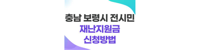 충남-보령시-전시민-재난지원금-썸네일