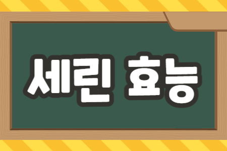 세린 효능