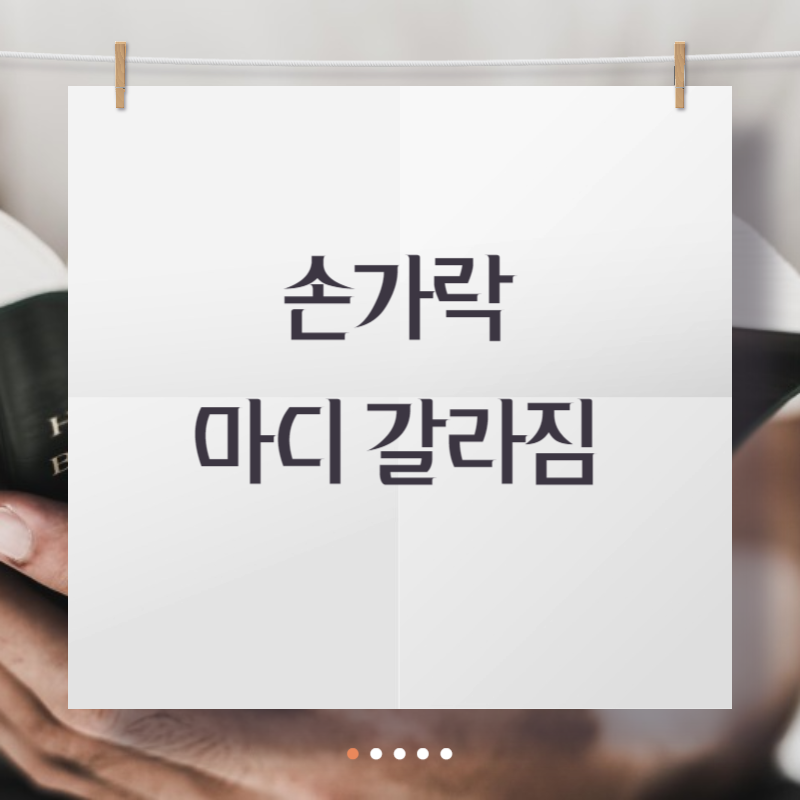 손가락 마디 갈라짐