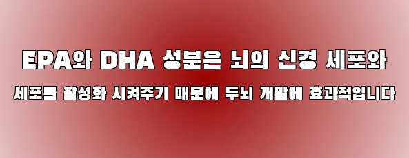  EPA와 DHA 성분은 뇌의 신경 세포와 세포를 활성화 시켜주기 때문에 두뇌 개발에 효과적입니다
