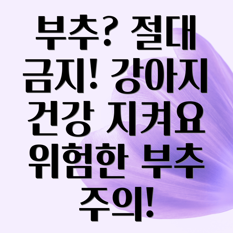 부추 강아지